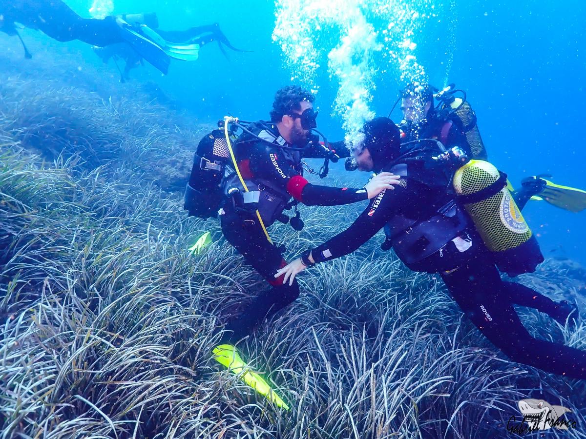 Bautismo de buceo en Águilas