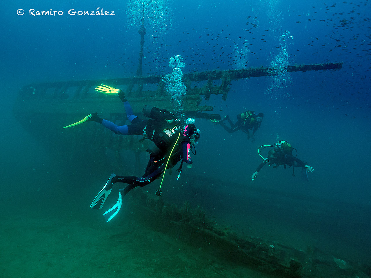 Curso SSI Divemaster en Águilas