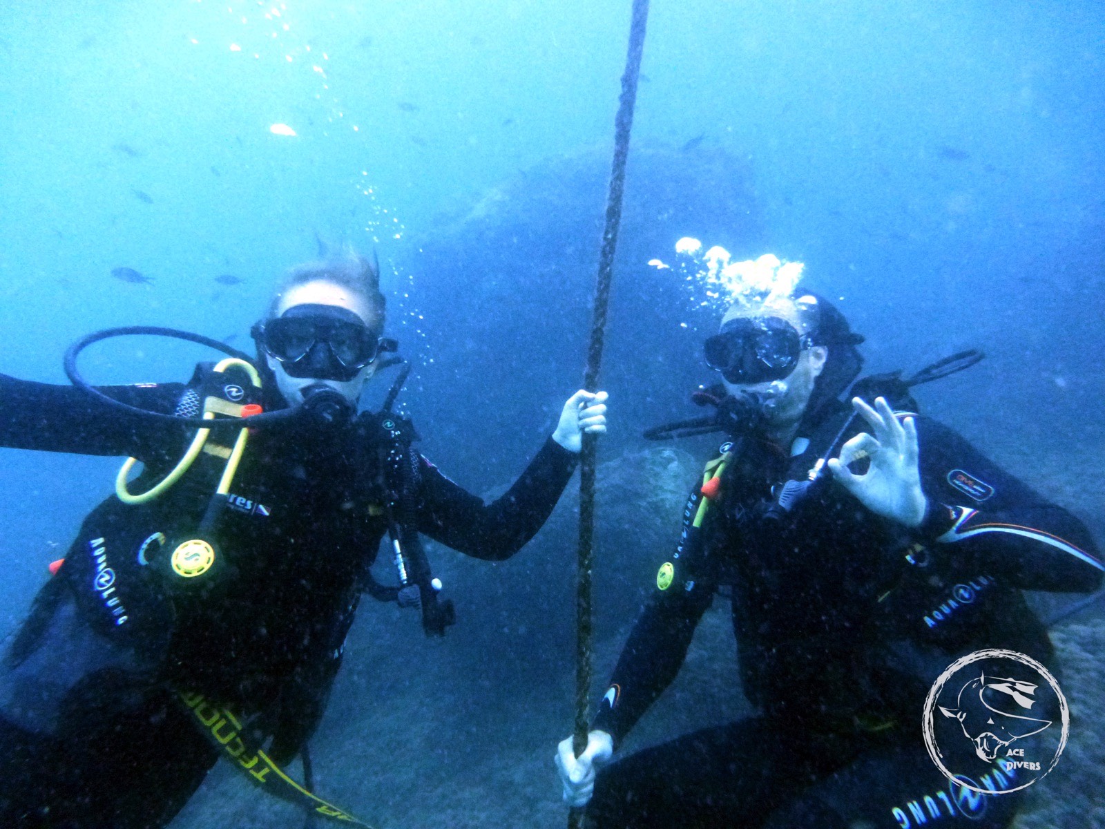 Curso SSI Open Water en Águilas